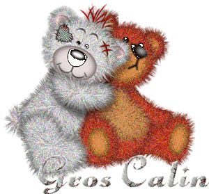 Gif gros calin ours